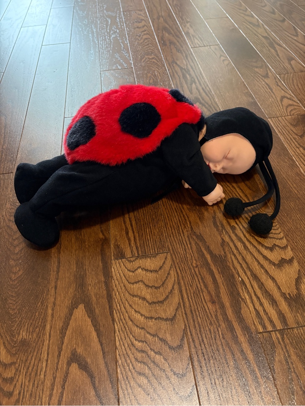 VTG Anne Geddes Baby Ladybug Bean Bag Filled Plush Sleeping Baby Doll 16”